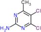 4,5-dichloro-6-methylpyrimidin-2-amine