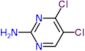 4,5-dichloropyrimidin-2-amine