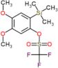 4,5-dimethoxy-2-(trimethylsilyl)phenyl trifluoromethanesulfonate