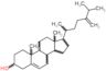 24-Methylenecholesterol