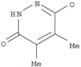 3-Pyridazinyloxy,1,6-dihydro-4,5-dimethyl-6-oxo- (9CI)