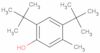 Di-tert-Butyl-m-cresol