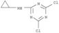 1,3,5-Triazin-2-amine,4,6-dichloro-N-cyclopropyl-