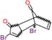 2,4-dibromo-3a,4,7,7a-tetrahydro-1H-4,7-methanoindene-1,8-dione