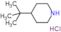 Piperidine, 4-(1,1-dimethylethyl)-, hydrochloride