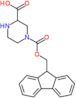 4-[(9H-fluoren-9-ylmethoxy)carbonyl]piperazine-2-carboxylic acid