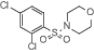 1-(2,4-dichlorophenylsulfonyl)morpholine