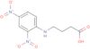 DNP-γ-aminobutyric acid