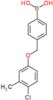 {4-[(4-chloro-3-methylphenoxy)methyl]phenyl}boronic acid