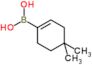 (4,4-dimethylcyclohexen-1-yl)boronic acid