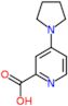 4-(pyrrolidin-1-yl)pyridine-2-carboxylic acid