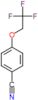 4-(2,2,2-trifluoroethoxy)benzonitrile