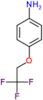 4-(2,2,2-trifluoroethoxy)aniline