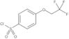 4-(2,2,2-Trifluoroethoxy)benzenesulfonyl chloride