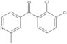 (2,3-Dichlorphenyl)(2-methyl-4-pyridinyl)methanon