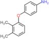 4-(2,3-dimethylphenoxy)aniline