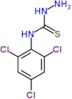 N-(2,4,6-trichlorophenyl)hydrazinecarbothioamide