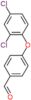 4-(2,4-dichlorophenoxy)benzaldehyde