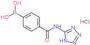 [4-(1H-tetrazol-5-ylcarbamoyl)phenyl]boronic acid hydrochloride