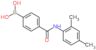 B-[4-[[(2,4-Dimethylphenyl)amino]carbonyl]phenyl]boronic acid