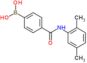 [4-[(2,5-dimethylphenyl)carbamoyl]phenyl]boronic acid