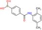 B-[4-[[(2,5-Dimethylphenyl)amino]carbonyl]phenyl]boronic acid