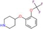 4-[2-(Trifluoromethoxy)phenoxy]piperidine