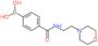[4-(2-morpholinoethylcarbamoyl)phenyl]boronic acid
