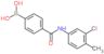 [4-[(3-chloro-4-methyl-phenyl)carbamoyl]phenyl]boronic acid