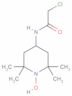 4-[(2-Chloroacetyl)amino]-2,2,6,6-tetramethyl-1-piperidinyloxy