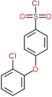 4-(2-chlorophenoxy)benzenesulfonyl chloride
