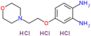 4-(2-morpholinoethoxy)benzene-1,2-diamine trihydrochloride