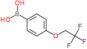 [4-(2,2,2-trifluoroethoxy)phenyl]boronic acid