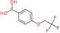 acido [4-(2,2,2-trifluoroetossi)fenil]boronico