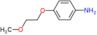 4-(2-methoxyethoxy)aniline