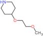 4-(2-methoxyethoxy)piperidine