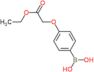 [4-(2-ethoxy-2-oxoethoxy)phenyl]boronic acid