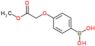 [4-(2-methoxy-2-oxo-ethoxy)phenyl]boronic acid