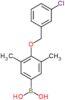 {4-[(3-chlorobenzyl)oxy]-3,5-dimethylphenyl}boronic acid