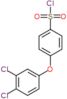 4-(3,4-dichlorophenoxy)benzenesulfonyl chloride