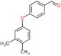 4-(3,4-dimethylphenoxy)benzaldehyde