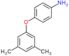 4-(3,5-dimethylphenoxy)aniline