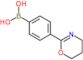 [4-(5,6-dihydro-4H-1,3-oxazin-2-yl)phenyl]boronic acid