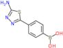 [4-(5-amino-1,3,4-thiadiazol-2-yl)phenyl]boronic acid