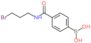 [4-(3-bromopropylcarbamoyl)phenyl]boronic acid