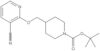 1,1-Dimethylethyl 4-[[(3-cyano-2-pyridinyl)oxy]methyl]-1-piperidinecarboxylate