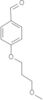 4-(3-methoxypropoxy)benzaldehyde