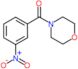 morpholin-4-yl(3-nitrophenyl)methanone