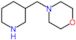 4-(3-Piperidinylmethyl)morpholine