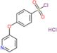 4-(pyridin-3-yloxy)benzenesulfonyl chloride hydrochloride